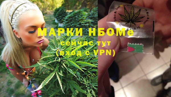 ALPHA PVP Корсаков