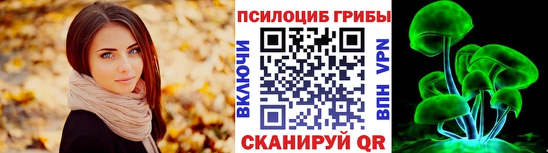 Псилоцибиновые грибы GOLDEN TEACHER  Купить где  Арск 